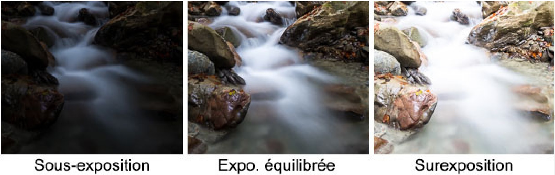 Exposition